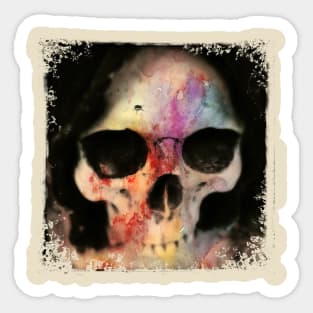 Colourful Skull with FLY Sticker